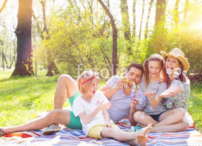 picknick iga park